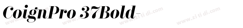 CoignPro 37Bold字体转换